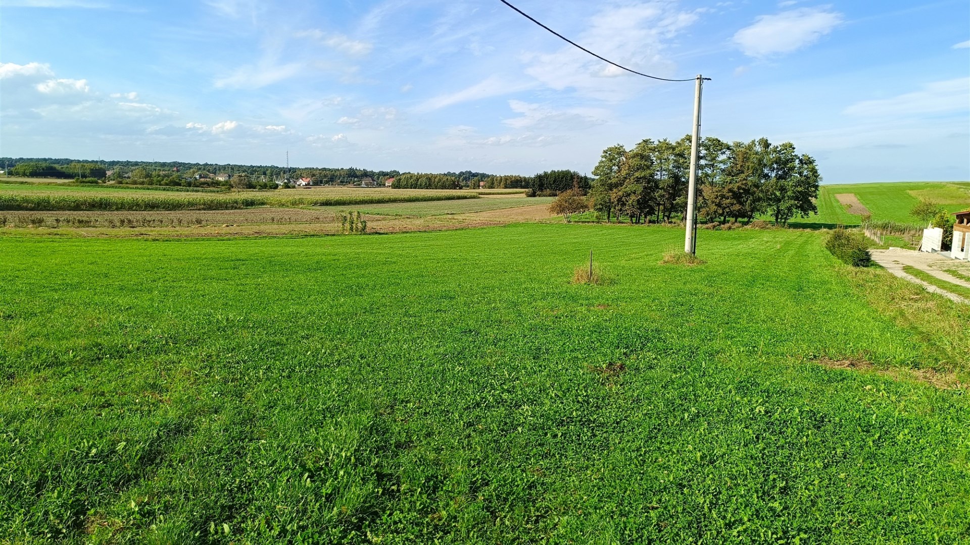 Działka na sprzedaż