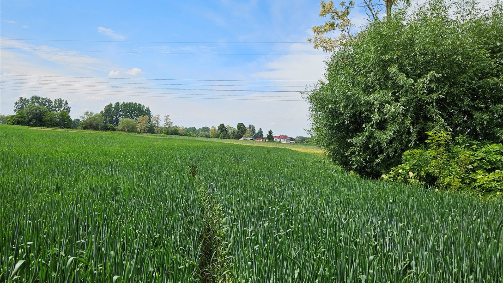 Działka na sprzedaż